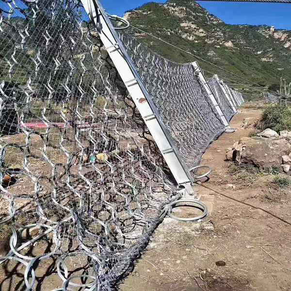 1619142522477928.jpg 微信图片_202012071605209_副本.jpg