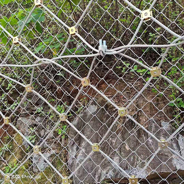 1619147715483800.jpg 微信图片_2021033112045913_副本.jpg