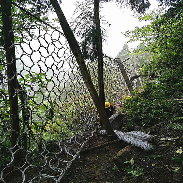 1648001998515521.jpg RXI075_副本.jpg