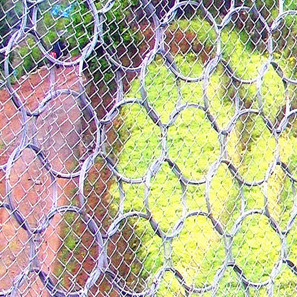 1664177004831479.jpg src=http___image.sjwj.com_ShopPic_201910_2019101109102845429.jpg&refer=http___image.sjwj_副本_副本.jpg